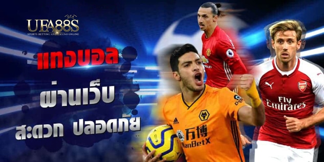 เว็บแทงบอล สดจากสนาม