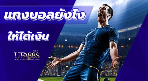 เว็บแทงบอลวอเลท